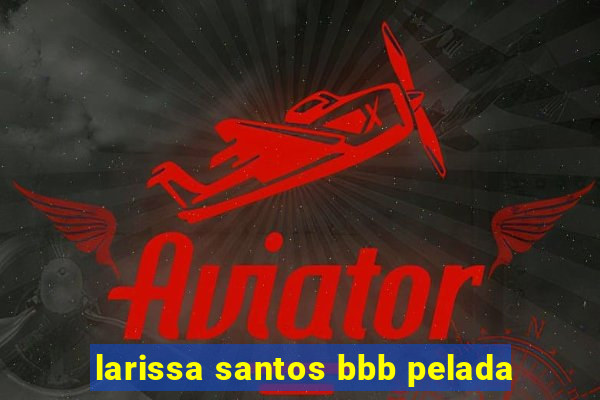 larissa santos bbb pelada